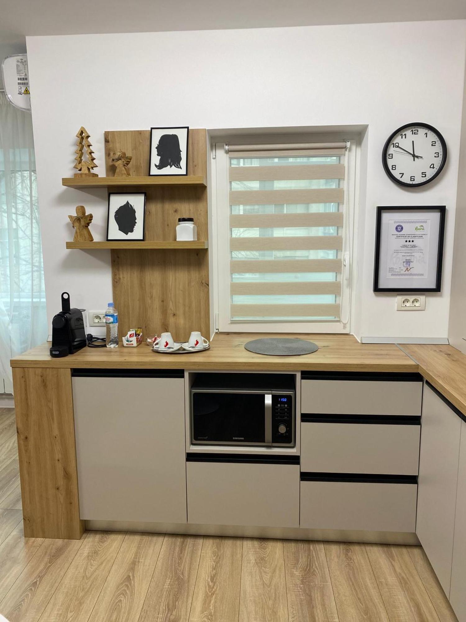 Central Luxury Apartment 이아시 외부 사진