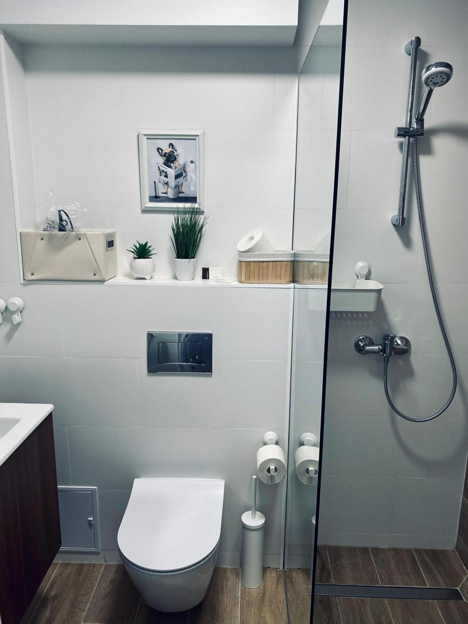 Central Luxury Apartment 이아시 외부 사진